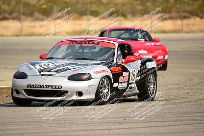 media/Feb-17-2024-Extreme Speed (Sat) [[f2f02d613c]]/Purple Group/Session 2 (Turn 14)/